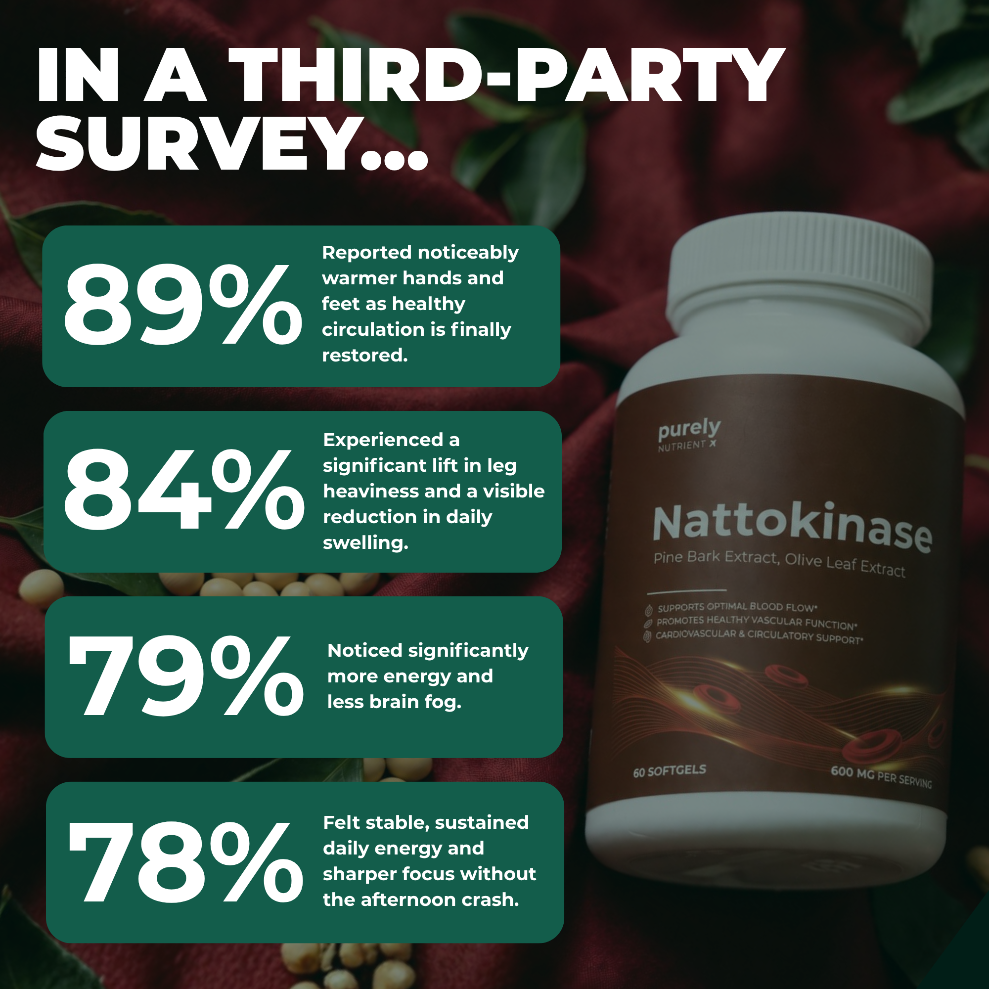 Purely Nutrient  Nattokinase
