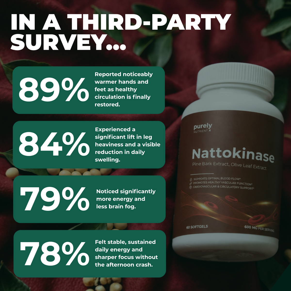 Purely Nutrient  Nattokinase